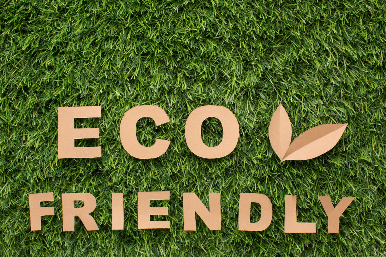 Eco-Friendly Charades: Playing the Game with a Green Twist